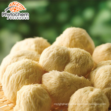 Favorable price hericium erinaceus Lions Mane 10%~30% polysaccharides